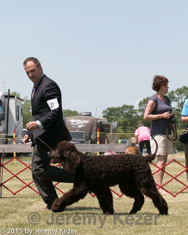 20150530-co-0321.jpg
