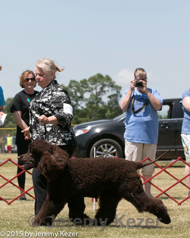 20150530-co-0365.jpg