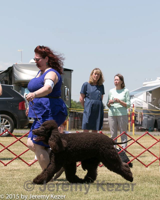 20150530-co-0397.jpg
