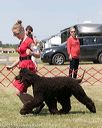 20150530-co-0041