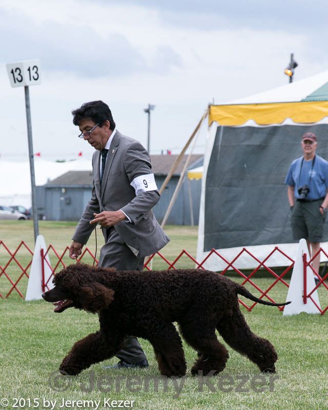20150531-co-0115.jpg