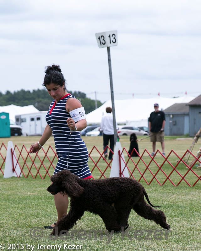 20150531-co-0181.jpg