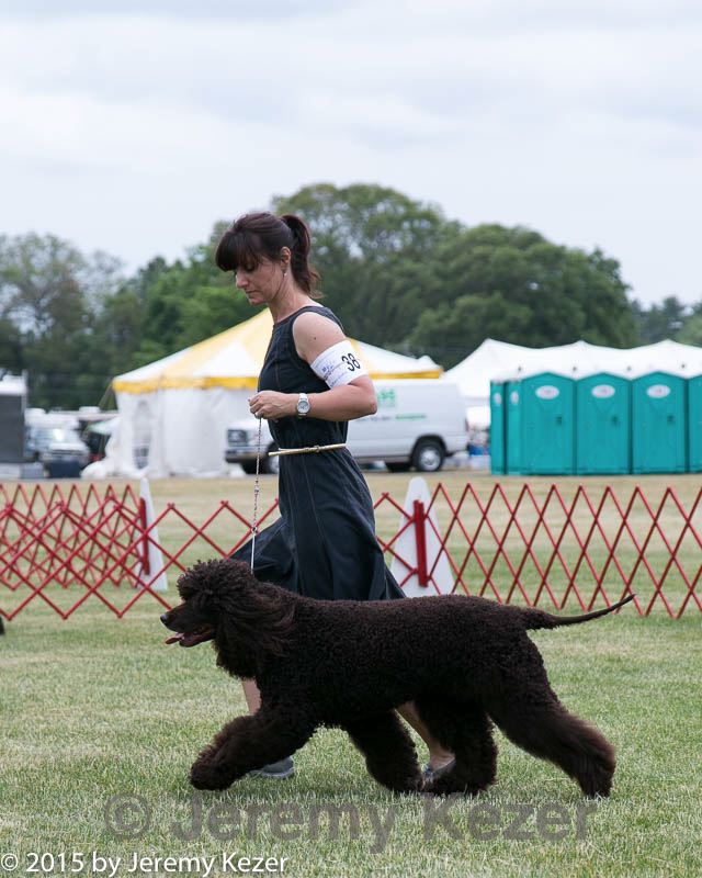 20150531-co-0187.jpg
