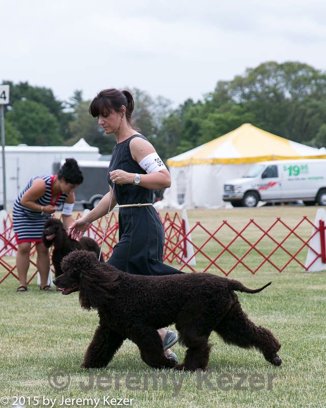 20150531-co-0188.jpg