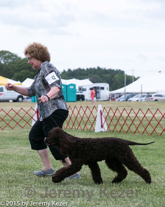 20150531-co-0099.jpg