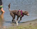 20150822-awd-0025