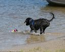 20150822-awd-0040