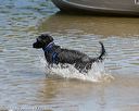 20150822-awd-0051