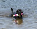 20150822-awd-0059