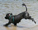 20150822-awd-0251