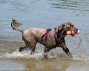 20150822-awd-0275