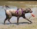 20150822-awd-0281