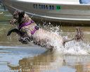 20150822-awd-0294