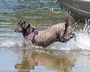 20150822-awd-0296