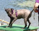 20150822-awd-0324