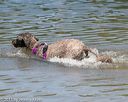 20150822-awd-0340