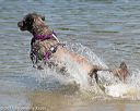 20150822-awd-0365