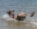 20150822-awd-0368