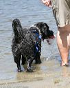 20150822-awd-0399