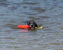 20150822-awd-0422