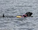 20150822-cwd-0009