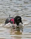 20150822-cwd-0023
