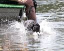 20150822-cwd-0088
