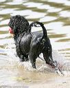 20150822-cwd-0098