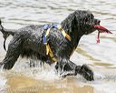 20150822-cwd-0174