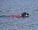 20150822-wwd-0016