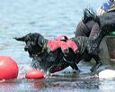 20150822-wwd-0028