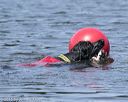 20150822-wwd-0040