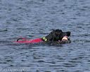 20150822-wwd-0053