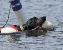 20150822-wwd-0065