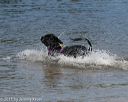 20150822-wwd-0083