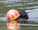 20150822-wwd-0120