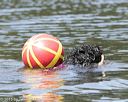 20150822-wwd-0128