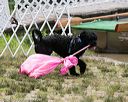 20150822-wwd-0163