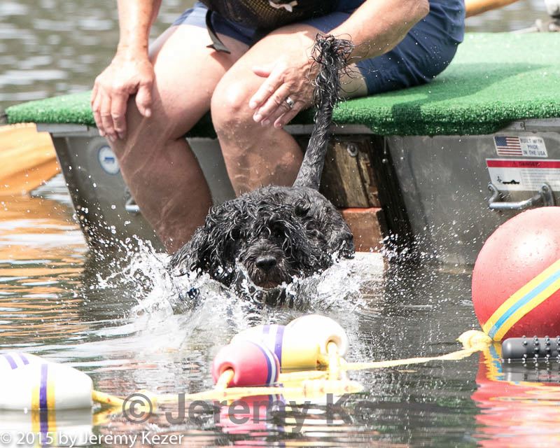 20150822-wwd-0180.jpg
