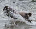 20150823-awd-0014