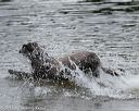 20150823-awd-0015