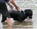 20150823-awd-0076
