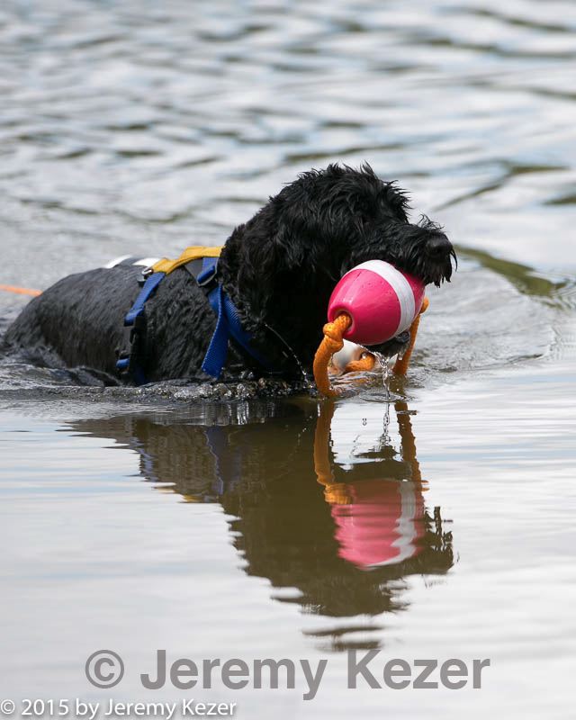 20150823-awd-0219.jpg