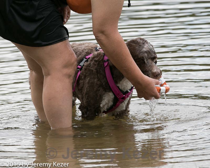 20150823-awd-0245.jpg