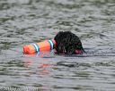 20150823-cwd-0057