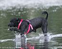 20150823-cwd-0175