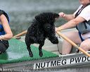 20150823-cwd-0196