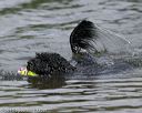 20150823-cwd-0226