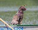 20150823-wwd-0038