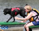 20150823-wwd-0072